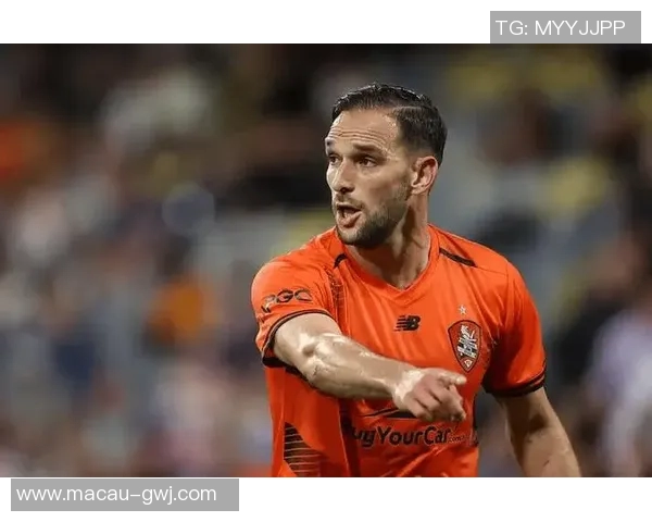 成都飞盘队战术解析与实战运用的深度探讨与思考MBA