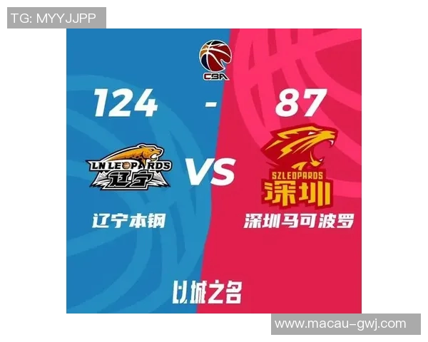 辽宁对阵深圳精彩视频回放全程回顾与赛后分析尽在此处