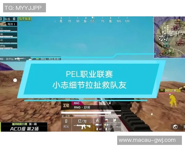 和平精英纪实：深入探讨RNG战队的蜕变与未来发展之路MBA