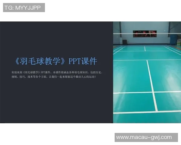 成都羽毛球队整体压制打法深度分析与战术解读