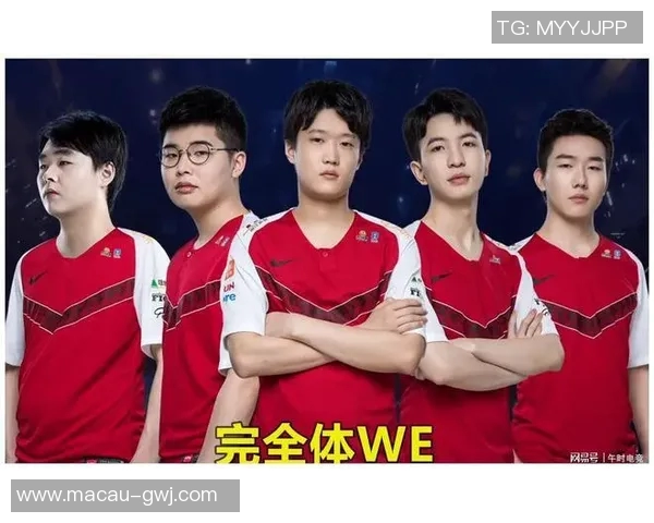 城市赛点评：RNG展现强大实力引发热议与期待